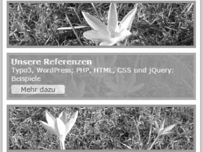 Boxen responsiv mit Effekt - Referenz Thomas Berscheid: Webseite der Agentur - TYPO3, responsives Frontend, Extensions mit Extbase und Fluid - SEO Suchmaschinenoptimierung onPage offPage - HTML5 CSS3 jQuery Blog PHP mySQL